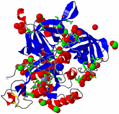 Image Asym./Biol. Unit - sites