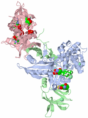 Image Biological Unit 1