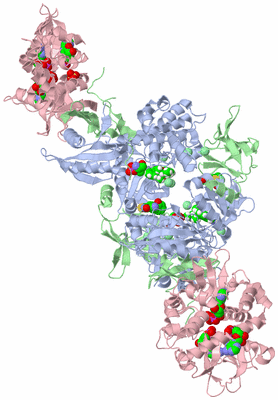 Image Biological Unit 2