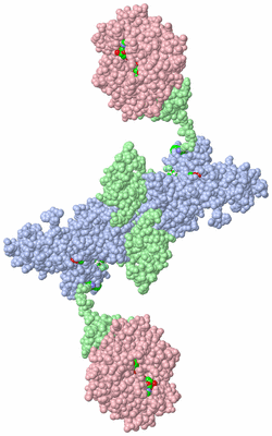 Image Biological Unit 3