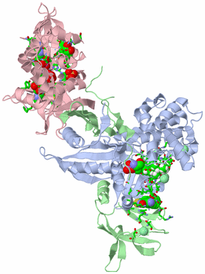 Image Asym. Unit - sites