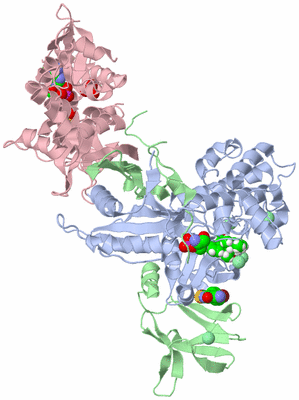 Image Biological Unit 1