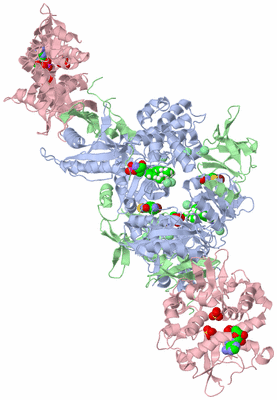 Image Biological Unit 2