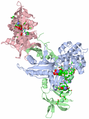 Image Asym. Unit - sites