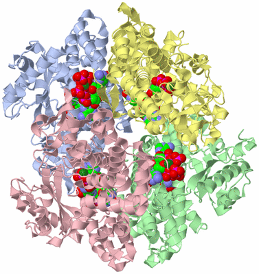 Image Asym./Biol. Unit