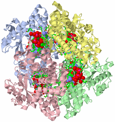 Image Asym./Biol. Unit - sites