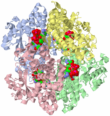 Image Asym./Biol. Unit