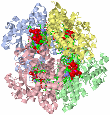 Image Asym./Biol. Unit - sites