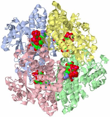 Image Asym./Biol. Unit