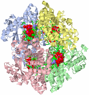 Image Asym./Biol. Unit - sites