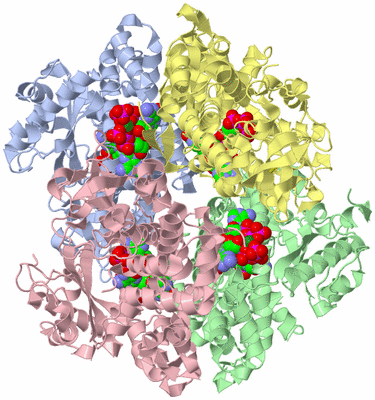 Image Asym./Biol. Unit