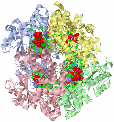 Image Asym./Biol. Unit - sites