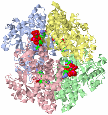 Image Asym./Biol. Unit