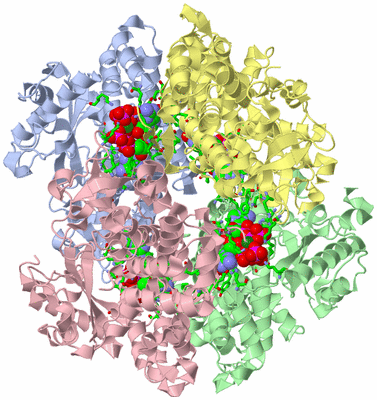 Image Asym./Biol. Unit - sites