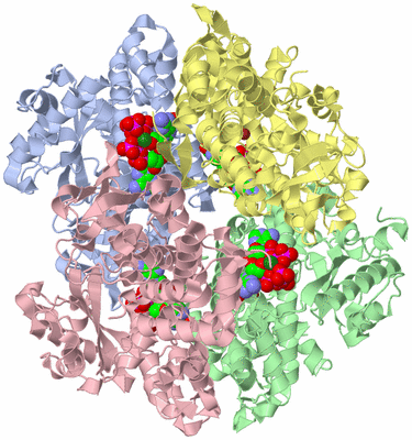 Image Asym./Biol. Unit