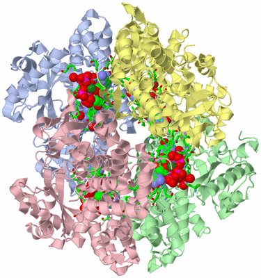 Image Asym./Biol. Unit - sites