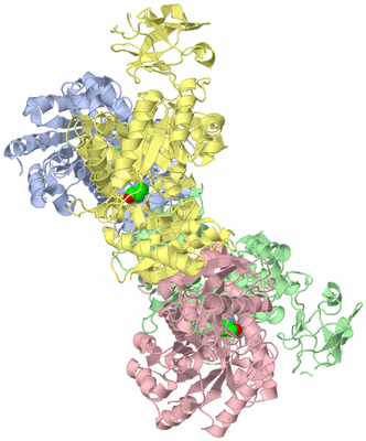 Image Asym./Biol. Unit