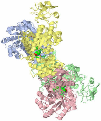 Image Asym./Biol. Unit - sites