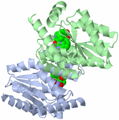 Image Asym./Biol. Unit