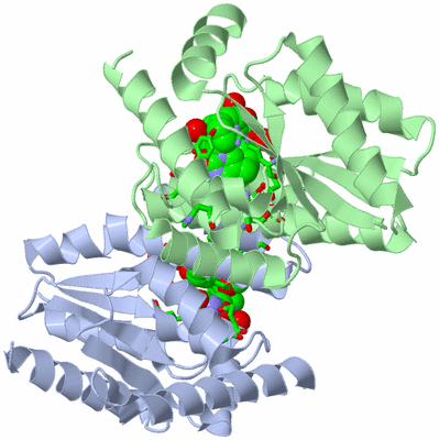 Image Asym./Biol. Unit - sites