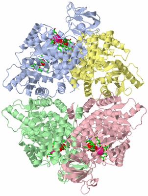 Image Asym./Biol. Unit - sites