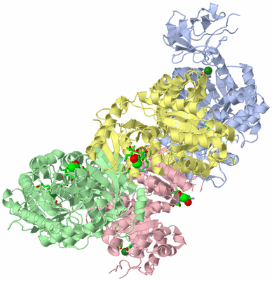 Image Asym./Biol. Unit - sites