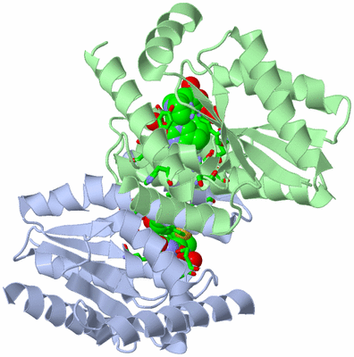 Image Asym./Biol. Unit - sites