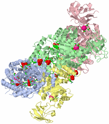 Image Asym./Biol. Unit - sites