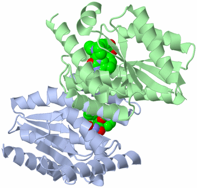 Image Asym./Biol. Unit