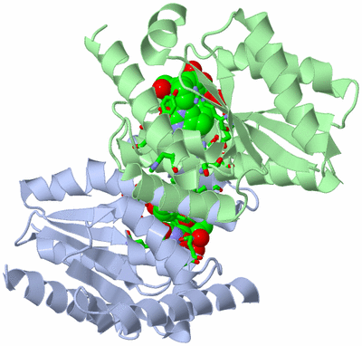 Image Asym./Biol. Unit - sites