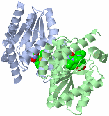 Image Asym./Biol. Unit