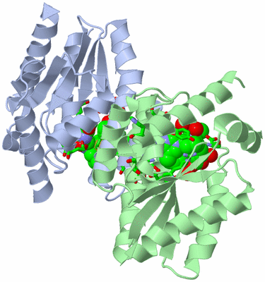 Image Asym./Biol. Unit - sites