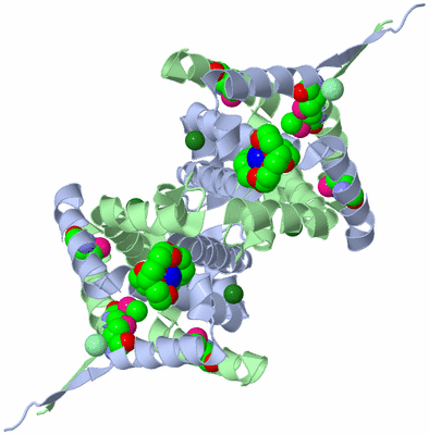 Image Biological Unit 1