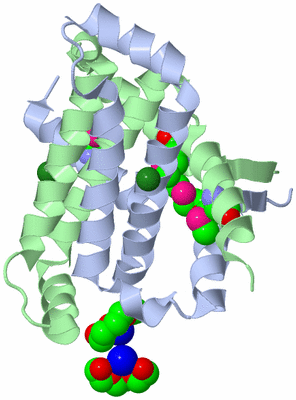 Image Biological Unit 2