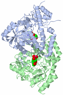 Image Asym./Biol. Unit