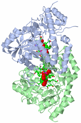 Image Asym./Biol. Unit - sites