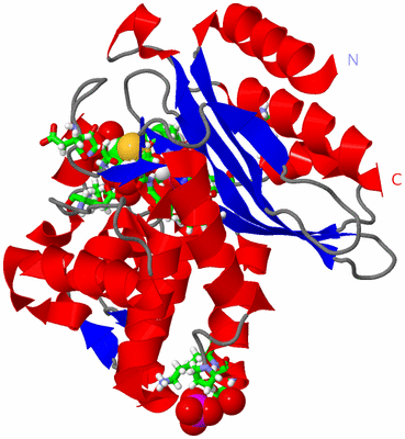 Image Asym./Biol. Unit - sites