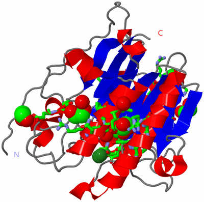 Image Asym./Biol. Unit - sites