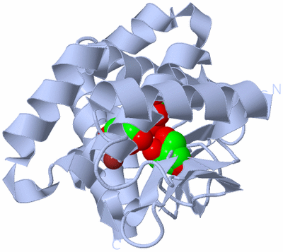 Image Biological Unit 1