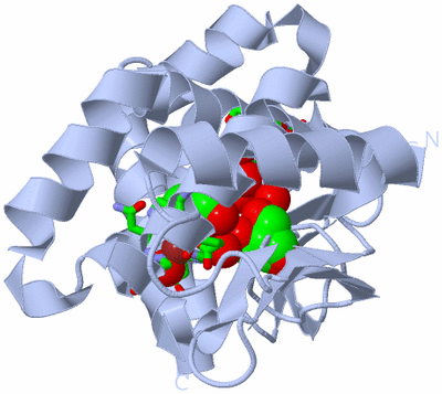 Image Biol. Unit 1 - sites