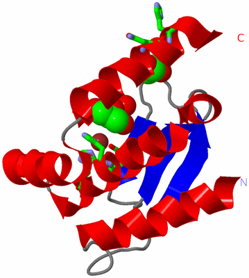 Image Asym. Unit - sites