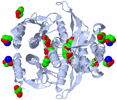 Image Biological Unit 1