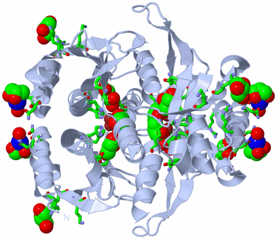 Image Biol. Unit 1 - sites