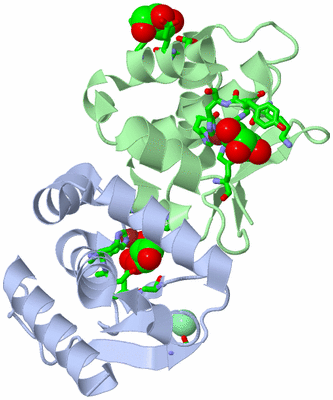 Image Biol. Unit 1 - sites