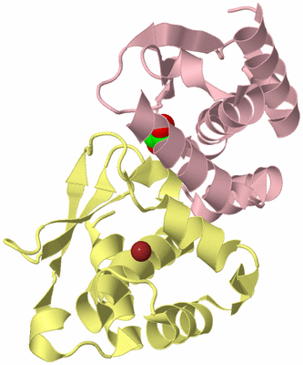 Image Biological Unit 2