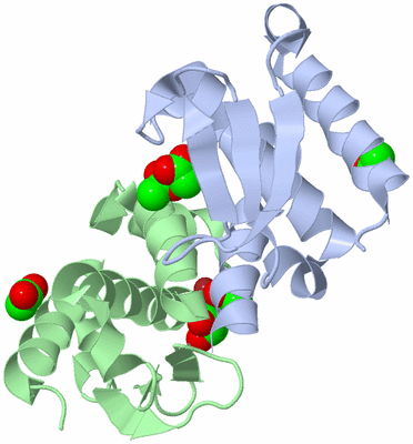 Image Asym./Biol. Unit