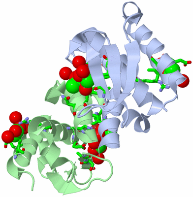 Image Asym./Biol. Unit - sites