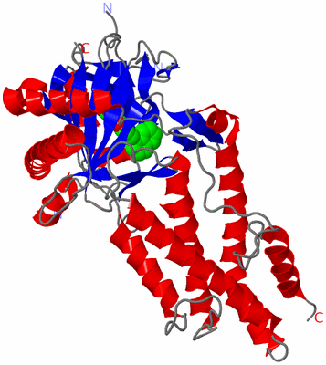 Image Asym./Biol. Unit