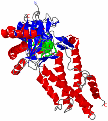 Image Asym./Biol. Unit - sites