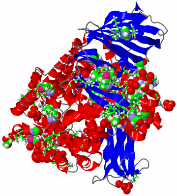 Image Asym./Biol. Unit - sites